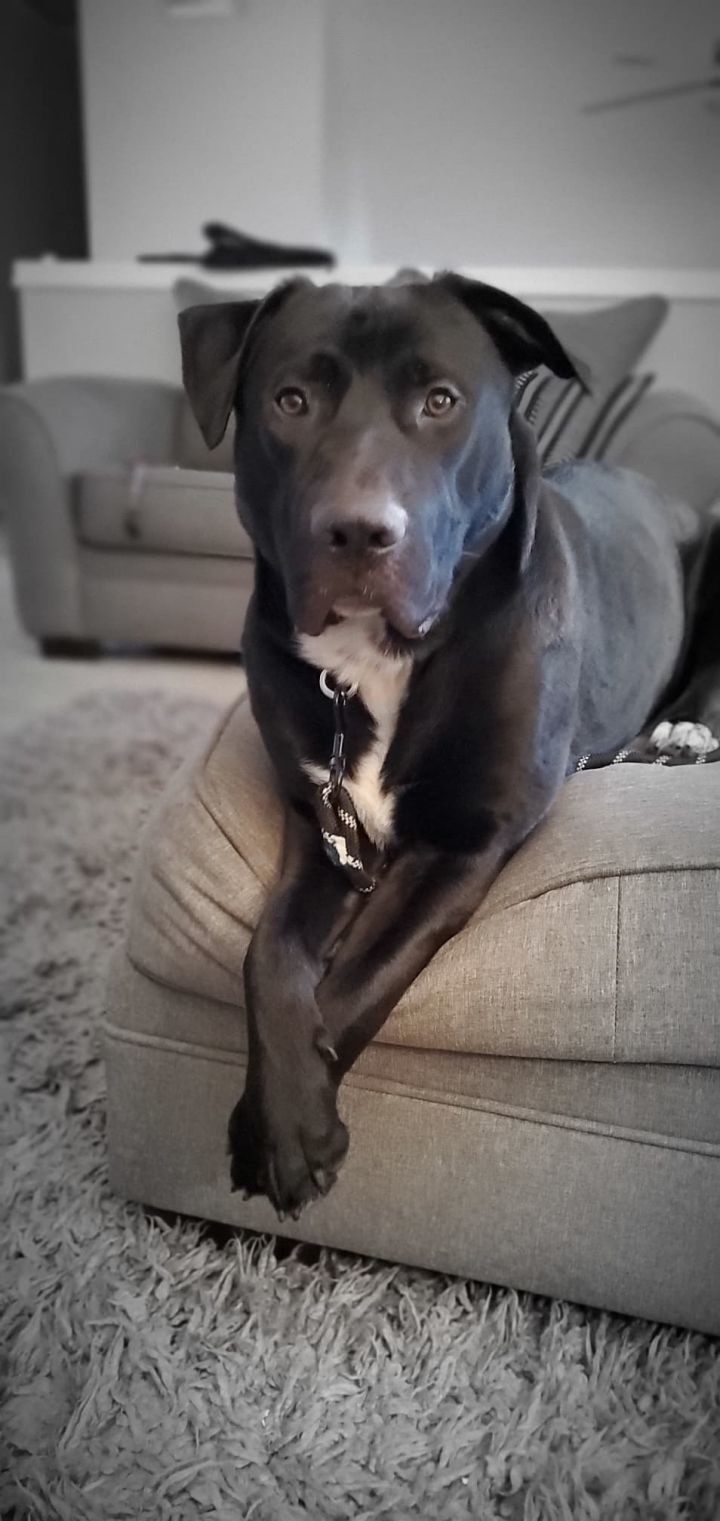 Otis